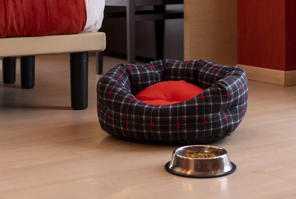 Nell'immagine una cuccia in camera